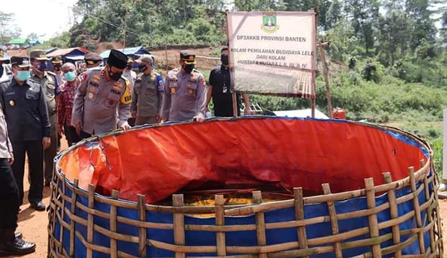 Radar Berita Indonesia