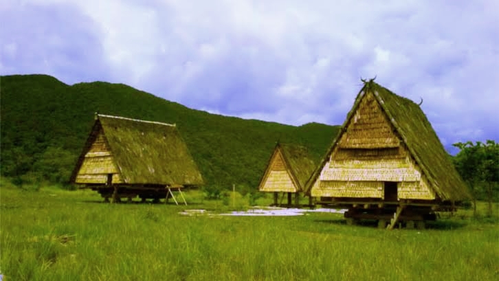 Rumah Tambi ini terbuat dari kayu bonati yang merupakan salah satu jenis kayu hutan yang memiliki tekstur yang kuat.