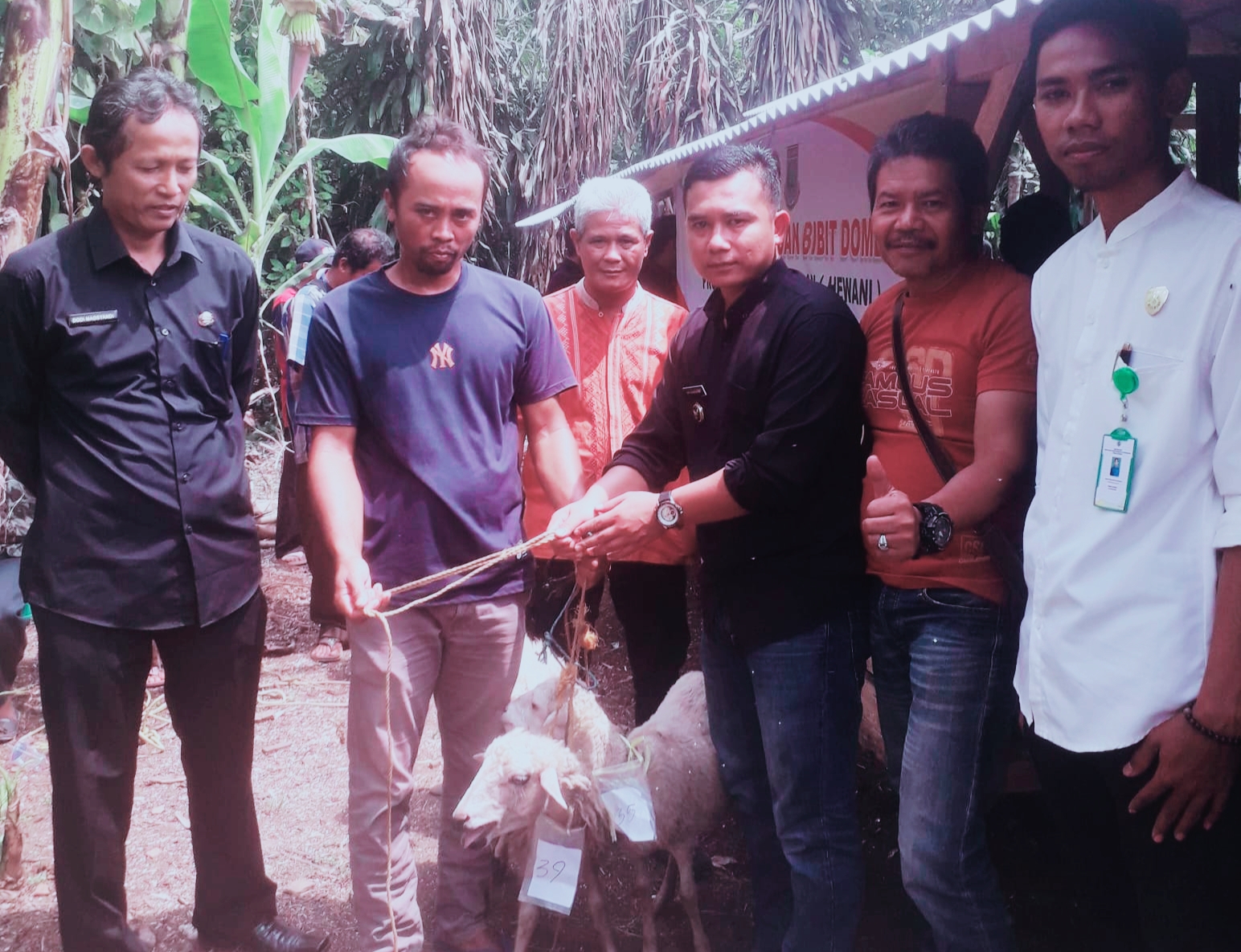 penyerahan bantuan domba yang di serahkan langsung oleh H. Dian selaku Kepala Desa Cipancur bersama H. Ijut tokoh masyarakat sekaligus panitia, Bapak Dodi perwakilan Kecamatan Cibatu, dan Pendamping Desa.