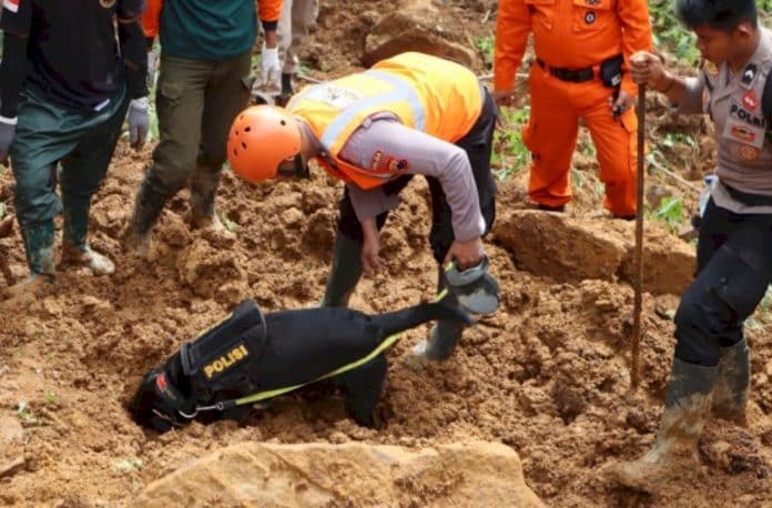 Tim SAR gabungan, termasuk Tim K-9 Polda Jawa Tengah, menemukan jenazah bayi bernama Abiyan, yang baru berusia 5 bulan, tertimbun tanah longsor. Tim SAR gabungan, termasuk Tim K-9 Polda Jawa Tengah, menemukan jenazah bayi bernama Abiyan, yang baru berusia 5 bulan, tertimbun tanah longsor.