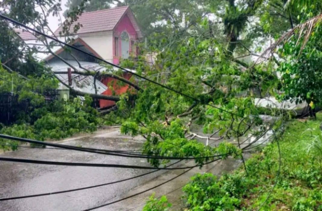 Langkah antisipasi yang disiapkan Pemko Padang, termasuk layanan darurat seperti nomor 112, menunjukkan keseriusan pemerintah dalam merespons situasi darurat dengan cepat.
