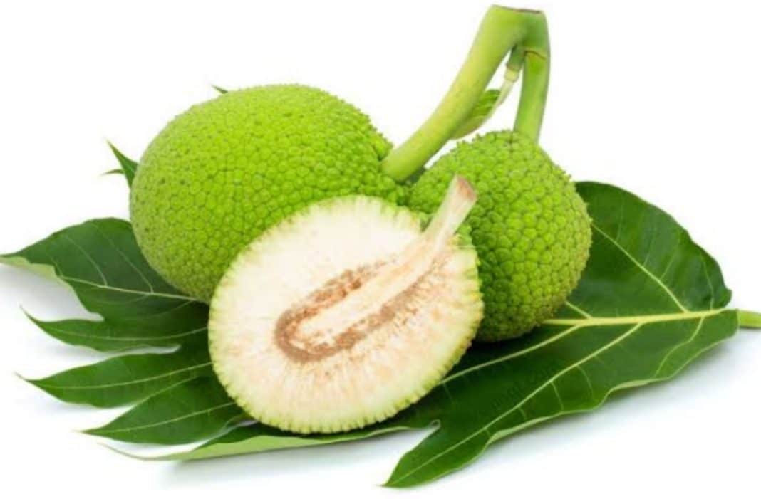 Buah sukun yang bernama latin Artocarpus altilis merupakan buah tropis yang bentuknya sekilas menyerupai buah nangka. Namun, buah sukun memiliki daging buah berwarna putih yang empuk dan manis.