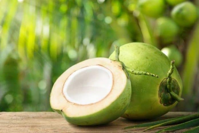 Manfaat air kelapa hijau tidak hanya sebatas pelepas dahaga yang menyegarkan, tetapi juga baik untuk kesehatan.