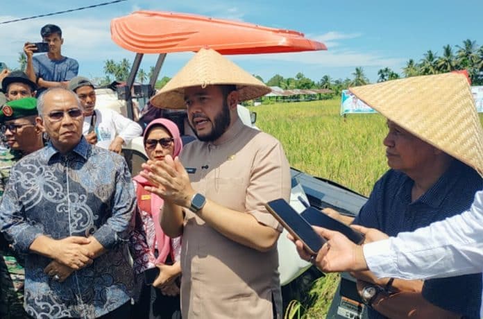 Kolaborasi panen raya antara Lembaga Pemberdayaan Masyarakat (LPM) Kota Padang dan Dinas Pertanian Kota Padang. Kegiatan tersebut berlangsung di areal pertanian Kelompok Tani Harapan Baru, yang terletak di Jalan Belimbing, Kelurahan Kuranji, Kecamatan Kuranji, Kota Padang, pada Jumat (25/4/2025).