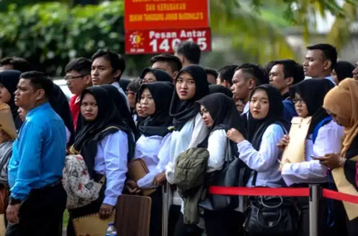 Pendidikan Tinggi, Peluang Kerja Rendah
