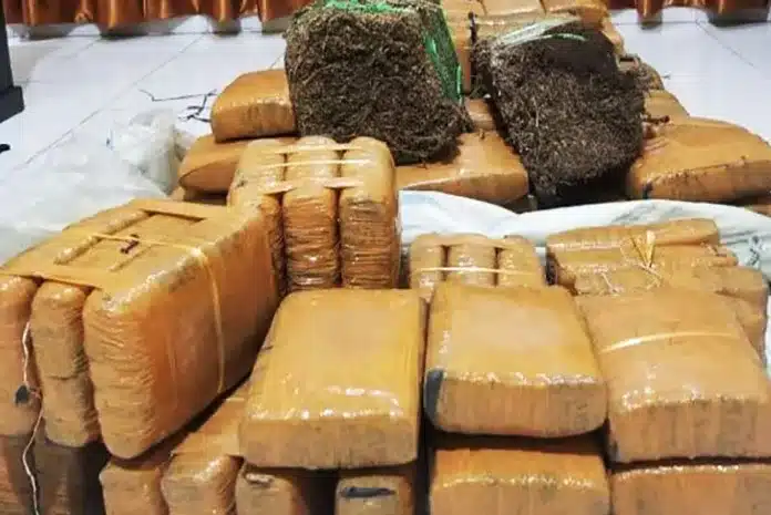 Bareskrim Gagalkan Penyelundupan 47 Kg Ganja Jaringan Sumut, Dua Kurir Ditangkap Direktorat Tindak Pidana Narkoba (Dittipidnarkoba) Bareskrim Polri menggagalkan upaya penyelundupan narkotika jenis ganja.