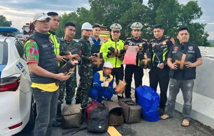 Bareskrim Berhasil Tangkap Kurir Pembawa Ribuan Ekstasi di Tol Sumatera Direktorat Tindak Pidana Narkoba Bareskrim Polri turun langsung melakukan penyelidikan dan penindakan terkait temuan puluhan ribu butir pil ekstasi yang tercecer usai kecelakaan di Jalan Tol Trans Sumatera Km 136B, Kabupaten Lampung Tengah. Kasus tersebut terungkap setelah sebuah mobil Nissan Xtrail bernomor polisi D-1160-UN mengalami kecelakaan pada Kamis (20/11/2025) pagi