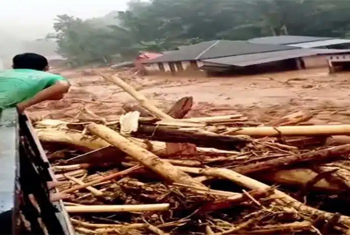 Sejumlah video yang menampilkan ribuan gelondongan kayu terbawa arus banjir bandang di berbagai wilayah Sumatera Utara (Sumut) viral di media sosial. Menanggapi hal itu, Gubernur Sumatera Utara (Gubsu) Bobby Nasution menyatakan bahwa pihaknya akan meninjau fenomena tersebut.