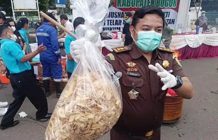 Kejaksaan Negeri (Kejari) Kabupaten Bogor memusnahkan barang bukti narkotika dengan modus tak lazim berupa keripik pisang yang disemprot zat mengandung narkoba, Selasa (23/12/2025).