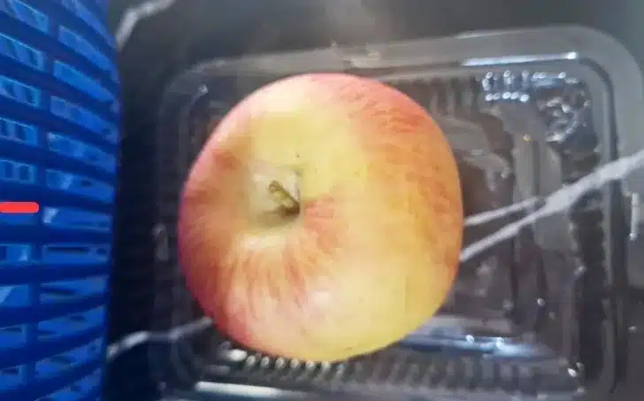 MBG di SD Madinatushalam Tuai Sorotan, Wali Murid Pertanyakan Kualitas Makanan Siswa 2 program MBG pada dasarnya merupakan program yang baik karena bertujuan untuk meningkatkan asupan gizi bagi anak-anak sekolah.