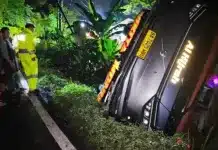 Tragis! Bus Terjun ke Jurang di Lahat Foto: Bus Masuk Jurang di Lahat (dok istimewa) (Foto: detikNews.com)