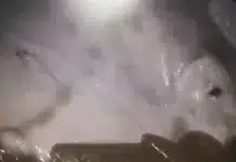 Sungai PDAM Bumi Etam Berubah Cokelat, Warga Curigai Limbah Tambang Warga Desa Bumi Etam, Kecamatan Kaubun, Kabupaten Kutai Timur, mengeluhkan perubahan drastis kualitas air Sungai PDAM yang kini tampak keruh dan diduga telah tercemar.