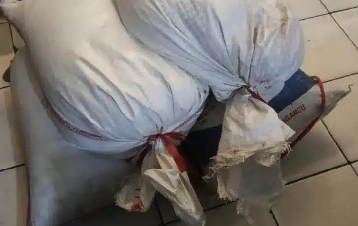 Oknum Dubalang Kota Diduga Curi Rempah, Fadly Amran: Langsung Dipecat Tidak Hormat 1 Petugas Polsek Padang Selatan memperlihatkan barang bukti berupa cengkeh kering yang disita dari seorang pria berinisial HRF (22), yang diduga terlibat dalam kasus pencurian dengan pemberatan di sebuah gudang rempah di Kecamatan Padang Selatan, Kota Padang. Saat ini, pelaku beserta barang bukti telah diamankan untuk menjalani proses penyidikan lebih lanjut. (Dokumentasi/Polsek Padang Selatan)