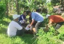 Warga Kuranji Kompak dan Antusias, Gotong Royong Sambut Wali Kota Padang Fadly Amran Antusiasme warga RT 01/RW 08, Kelurahan Kuranji, Kecamatan Kuranji, Kota Padang, terlihat dalam persiapan menyambut kedatangan Wali Kota Padang Fadly Amran, Sabtu sore (8/8/2026).