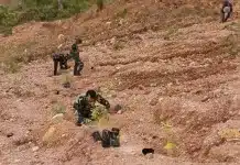 HUT Kodam XX/TIB Jadi Aksi Nyata, 10.000 Pohon Ditanam untuk Masa Depan Sumbar Peringatan HUT ke-1 Kodam XX/Tuanku Imam Bonjol (TIB) diisi dengan aksi nyata kepedulian terhadap lingkungan. Sebanyak 10.000 pohon ditanam secara serentak di sejumlah wilayah di Sumatera Barat, dengan kegiatan utama dipusatkan di lingkungan IAIN Imam Bonjol Aie Bangek, Kota Padang, Rabu (12/8/2026).