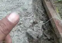 Proyek Irigasi Kuranji Disorot, Baru Dikerjakan Sudah Rusak: Mutu Pekerjaan dan Pengawasan Dipertanyakan Proyek irigasi di kawasan Kampung Tanjung, Kelurahan Kuranji, Kecamatan Kuranji, Kota Padang, menjadi sorotan setelah sebuah video yang diunggah melalui platform media sosial Facebook oleh akun atas nama Riki Clay memperlihatkan kondisi pekerjaan yang dinilai perlu mendapat perhatian.