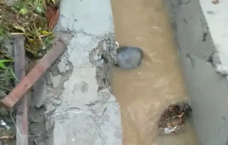 Proyek Irigasi Kuranji Disorot, Baru Dikerjakan Sudah Rusak: Mutu Pekerjaan dan Pengawasan Dipertanyakan 1 Dalam video tersebut, Riki Clay mempertanyakan kualitas pekerjaan proyek irigasi yang disebutnya belum genap satu tahun selesai, namun telah mengalami kerusakan.