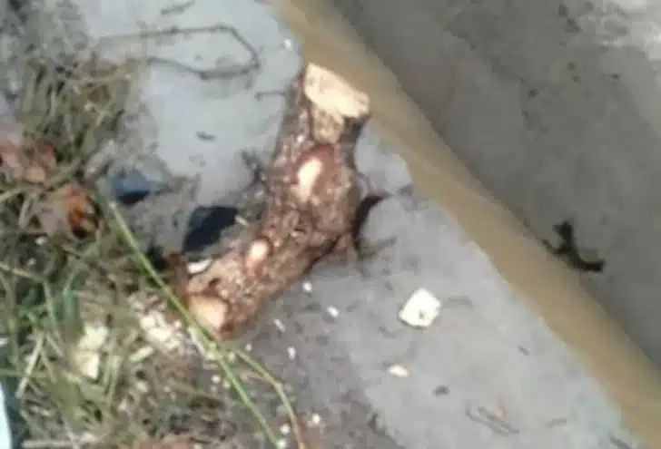 Proyek Irigasi Kuranji Disorot, Baru Dikerjakan Sudah Rusak: Mutu Pekerjaan dan Pengawasan Dipertanyakan 3 Riki Clay juga menyoroti adanya material berupa kayu yang disebut berada di dalam bagian beton pekerjaan irigasi.