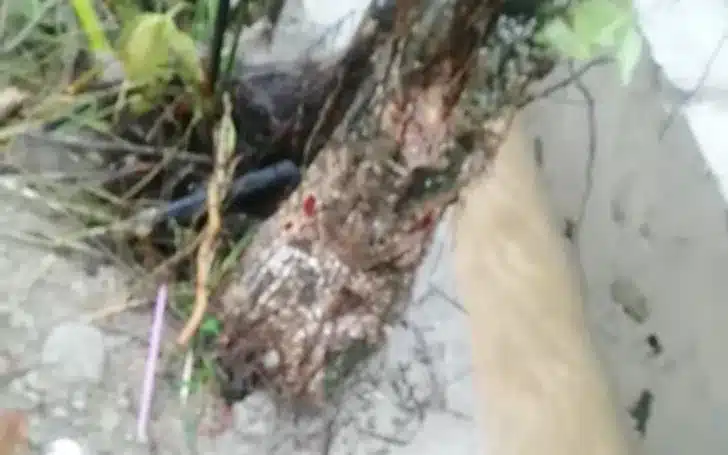 Proyek Irigasi Kuranji Disorot, Baru Dikerjakan Sudah Rusak: Mutu Pekerjaan dan Pengawasan Dipertanyakan 2 Riki Clay juga menyoroti adanya material berupa kayu yang disebut berada di dalam bagian beton pekerjaan irigasi.